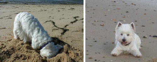 Urlaub am Meer - fr weitere Bilder hier klicken