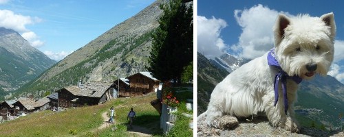 Urlaub in den Bergen - fr weitere Bilder hier klicken